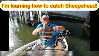 Пытаюсь научиться ловить рыбу вида Sheepshead!