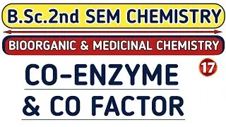 |L-17| Co enzyme & Co factor | B.Sc. 2nd semester chemistry | Aarti mam chemistry | Physics guru