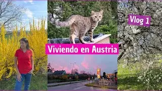 Vlog: Mi universidad en Austria + mis #gatitos disfrutan de los primeros días de #primavera 🫶🌺