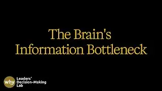 The Brain's Information Bottleneck: How the Brain's Bandwidth Limits Shape Decision Making