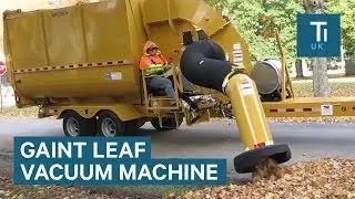 Industrial Vacuum Sucks Up Thousands Of Leaves Per Minute