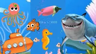 Kids Song Baby Shark song Ocean seaworld | Animals Sea Dolphin show octopus colors fish