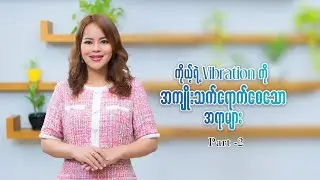 Dr Seinn Episode 54 - Things affecting your vibration Part (2)