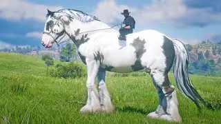 John Marston Tames Beautiful Ginormous Gypsy Cob Splashed Piebald Horse at Scarlet Meadows