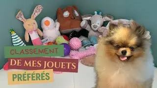 🐶 Quels jouets acheter pour mon Spitz 🐾 : ✦ 100% #POMERANIAN