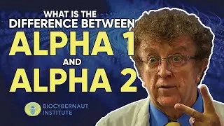 Alpha Brainwave Training | What is the difference between Alpha 1 and Alpha 2?
