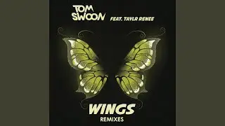 Wings (Myon & Shane 54 Summer Of Love Mix)