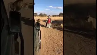 &ldquo;Iron Man&rdquo; From Africa #funnyvideos #comedy #comedyvideos #funnyshorts #shorts #africa #funny