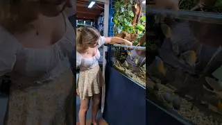 Rivertank with rainbowfish at Arcy Aquariums 🐟🌿 #aquarium #aquascape #beautiful