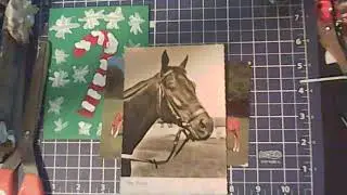 Sunny Funtime Mail Merry Christmas Everyone