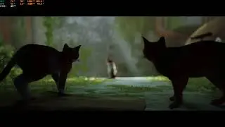 Stray, Xeon 2650 v2 gtx 1060 6Gb, FullHd, 1920x1080, средне-высокие настройки