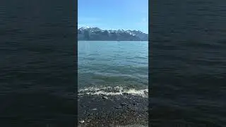 Tonsina Creek Trail - Seward, Alaska - Part 2 / 49