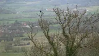 Walk along Holywell lane, HD test video