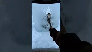 Frozen in Silence: Hyper-Realistic Snake Rescue Trapped in Ice