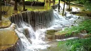 Discover the Mesmerizing Waterfall Oasis: Hidden Gem in the Enchanting Green Jungle!