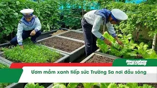 Ươm mầm xanh tiếp sức Trường Sa nơi đầu s&oacute;ng