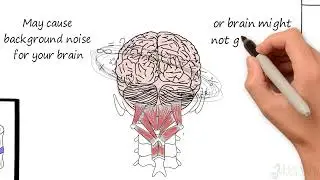 Reboot Your Brain & Body: How Spinal Health Impacts Everything You Do!