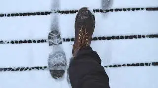 Snow Days at Gosforth Nature Reserve