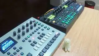 Elektron Analog4 | Gritty Bass