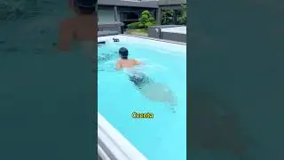 swimspa#swimspa#swimmingpool#endlesspool