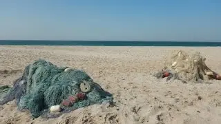Ras al Hadd Beach, Oman