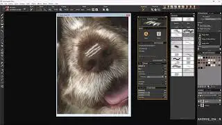 Changing the style of a brush in Corel Painter.