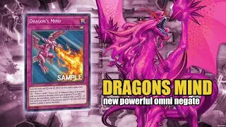 Dragon's Mind Full Potential Compilation (Yugioh MDPro3)