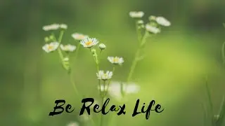 Relaxing Cool Down Sleep Time Soft Piano Music...!!!