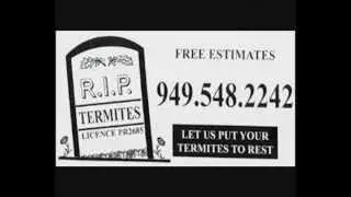 Termite Control Costa Mesa | 949-548-2242 | Huntington Beach | Newport Beach | Balboa Island
