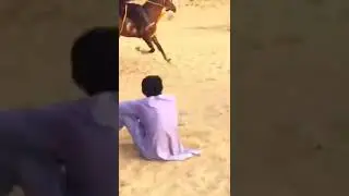 chaalbaaz horse, powerfull ghodo ki race.