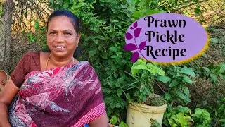 ✨Cooking -இறால் ஊறுகாய்☘️Prawn Pickle recipe தமிழில்/Ranima channel