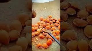 Unique way to crack fruit seeds #shorts