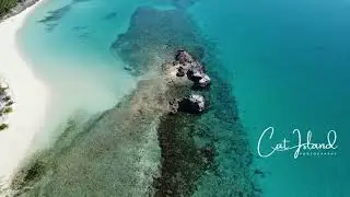 Pure Cat Island Paradise Captured From Above!