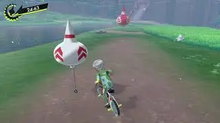 pokemon shield doing the rotom rally
