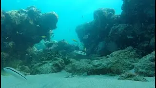 Sandals Latoc Snorkling St Lucia