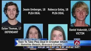 Teen to take plea in crowbar attack