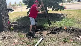 How to Safely Dig Near Utility Lines