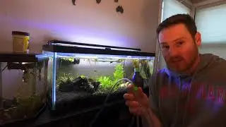 Review of Python Pro Clean + Python Squeeze Aquarium Cleaner