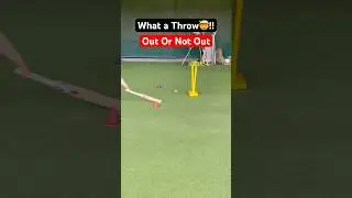 Runout #cricket #runout