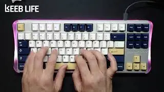 Linworks Polycarbonate Dolphin - Aluminum Plate - KTT Monochrome Onyx Tactile Switches - GMK Rudy