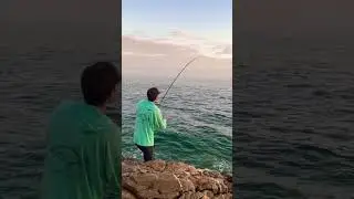 MONSTER GARRICK  #fishing #easterncape #fishinglife    #eastlondon #garrick #kei