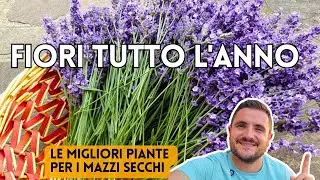 LE MIGLIORI PIANTE DA GIARDINO PER I MAZZI DI FIORI SECCHI