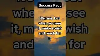 Success Fact #shorts #funfacts #relatable #success