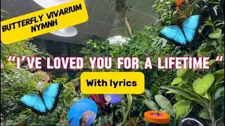 Butterfly Vivarium NYMNH | Music And Places