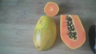 Food Art. The Diet Chronicles - Tom Callos