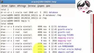 Setting-up Oracle 10g