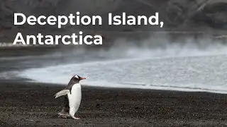 Inside Antarctica's Frozen Volcano - Deception Island