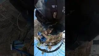 꼼지락농원 순간일기2