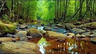 Deep Relaxation &ndash; Calm Your Mind with Soothing Ambient Music