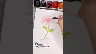 How to paint watercolor-chrysanthemum  #art #floraart #flowers